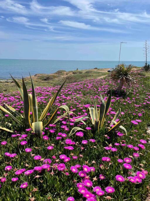 Ferienwohnung Miramar V Torrevieja Exteriör bild