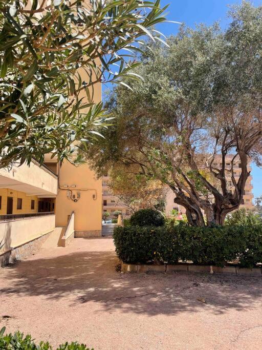 Ferienwohnung Miramar V Torrevieja Exteriör bild